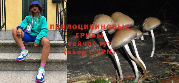 первитин Белокуриха