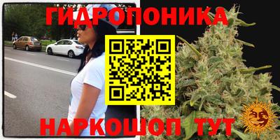 a pvp Заводоуковск